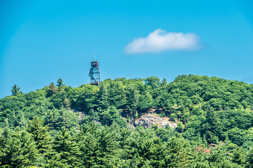 View of the Dorset Lookout Tower above a green forest in Dorset, Ontario.