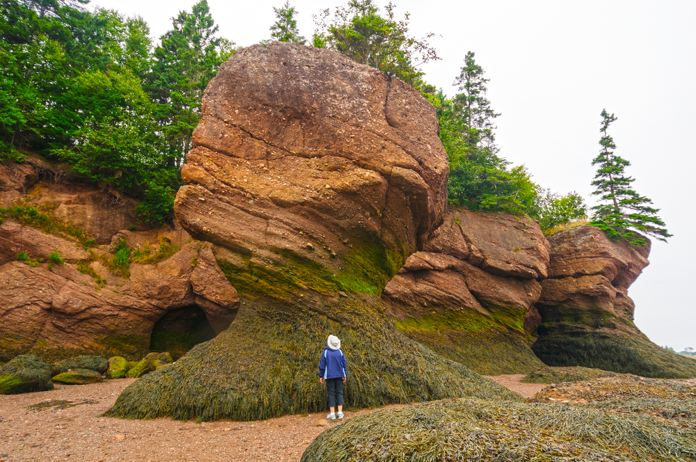 Person in a blue shirt standing at the base of the Hopewell Rocks in New Brunswick.