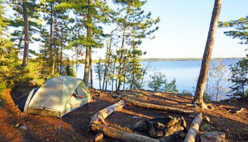 Tent and a logs for seating in a forest next to Saganaga Lake, Ontario.