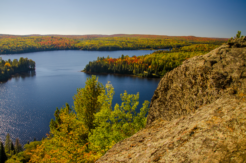 Overlooking a lake surrounded by trees in Algonquin Provincial Park, Ontario.
