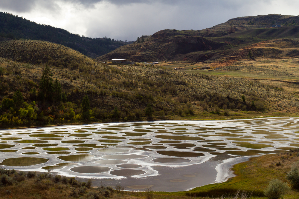 Spotted Lake surrounded by rolling hills in British Columbia.