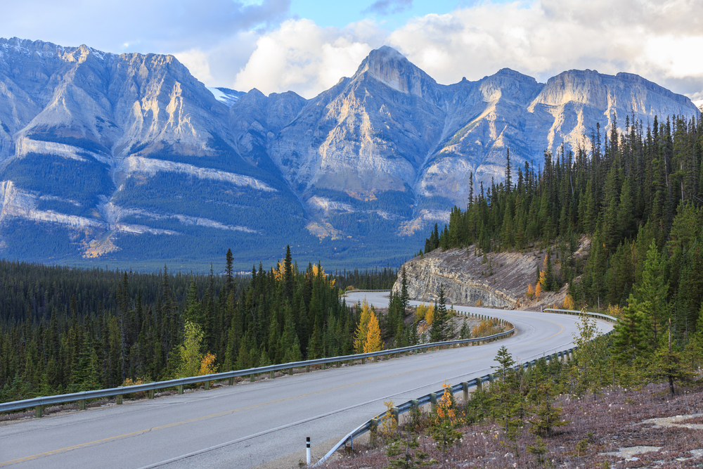 Road along Icefields Parkway, Alberta.