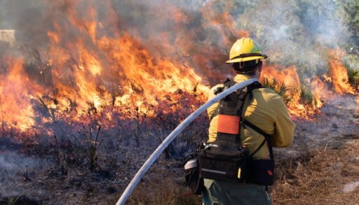 The back of a firefighter as they carry a hose close to a brush fire.