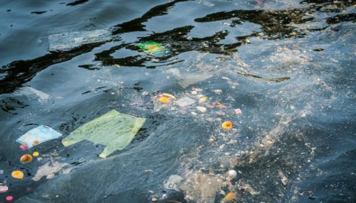 Garbage floating in a lake.