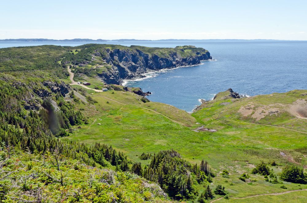 Green shore of the Newfoundland coast.