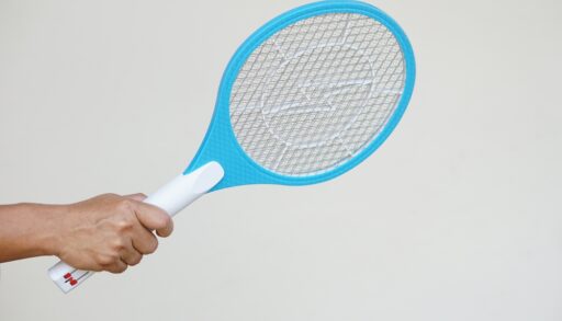 Close-up of a person holding a blue, electric bug racket.