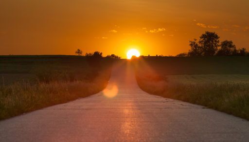 An empty road through a field at sunset.