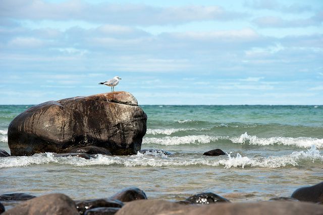MacGregor Point Park