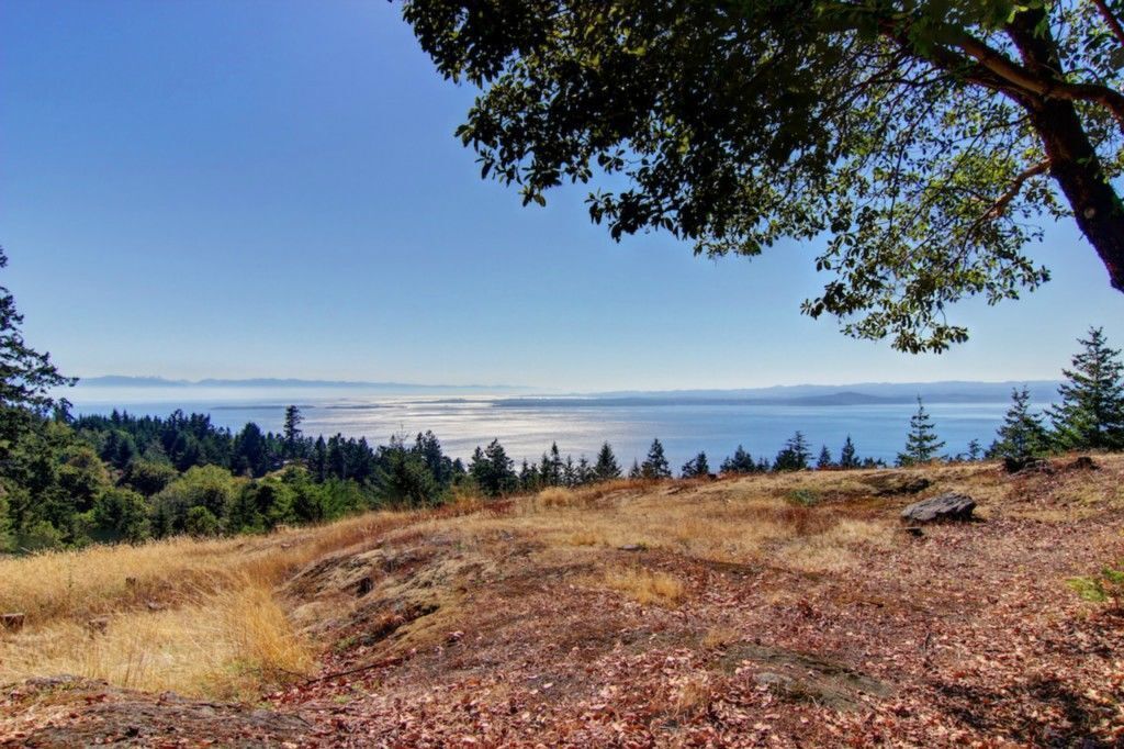 A view of the ocean from behind the house.