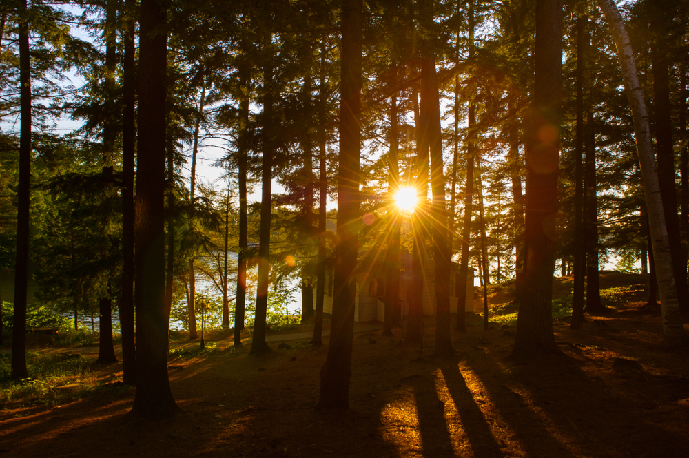 The sun filtering through trees next to a lake in Muskoka, Ontario, with a silhouette of a cottage.