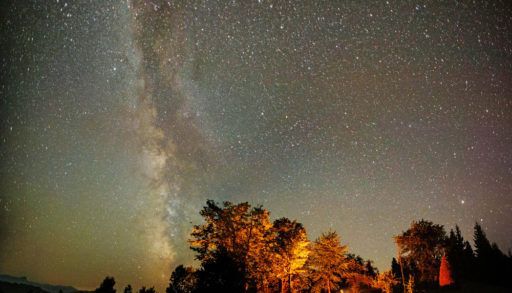 Tent and campfire surrounded by trees underneath a starry sky.