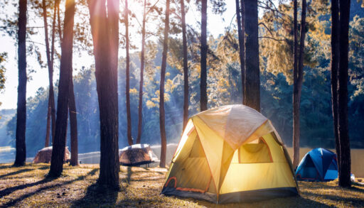 Sunlight hitting a tent in a forest.