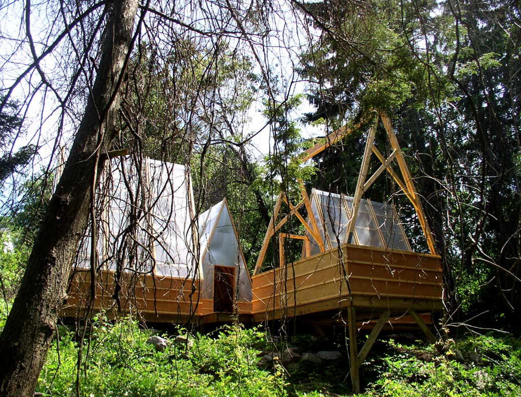 A side view of the compound in the trees.