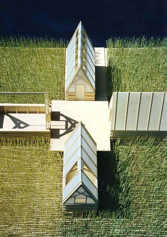 An aerial view of the Swamp Hut complex.