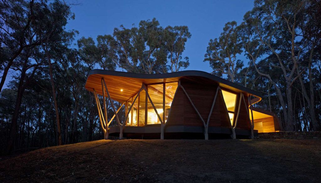 Exterior night view of Australian cabin.