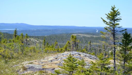 View of Terra Nova National Park in Newfoundland and Labrador from a rocky ledge.