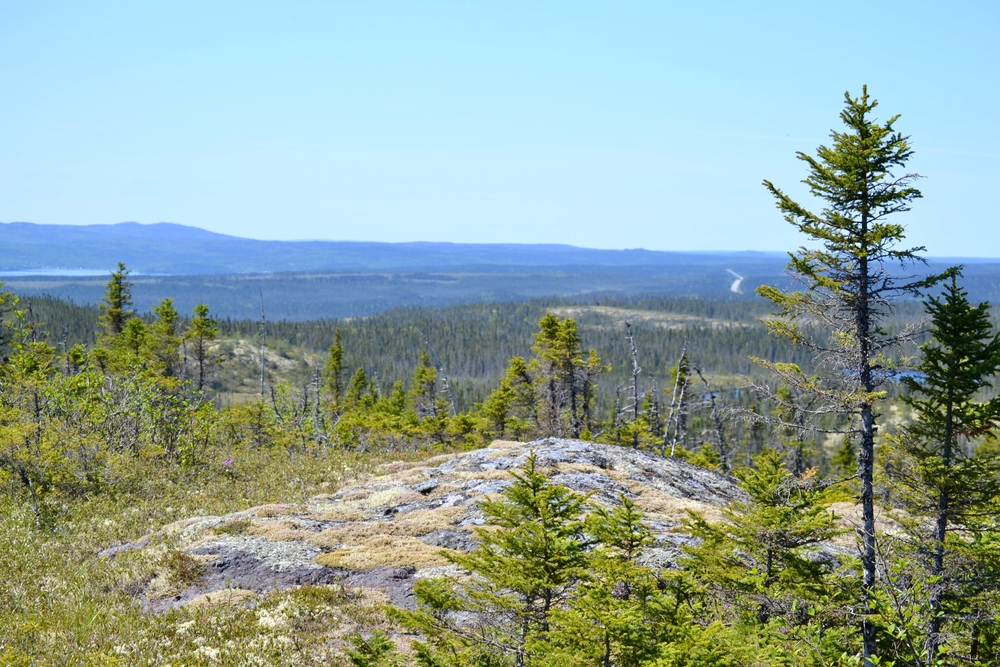 View of Terra Nova National Park in Newfoundland and Labrador from a rocky ledge.