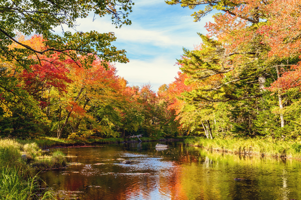 Mersey River in Kejimkujik National Park, Nova Scotia during fall.