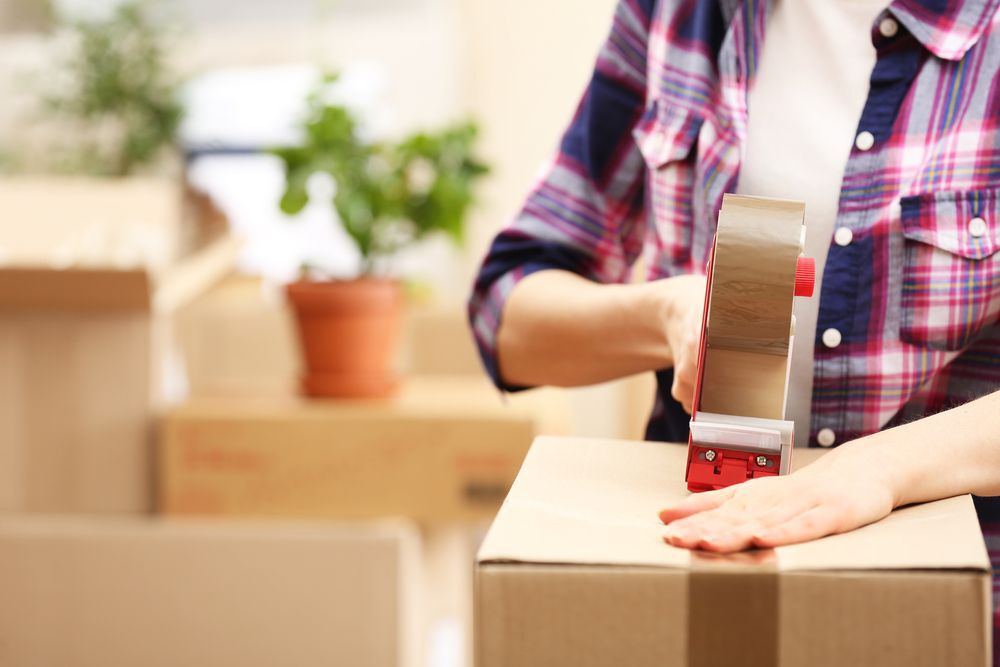 Close-up of a person in a plaid shirt packing boxes and taping them shut.