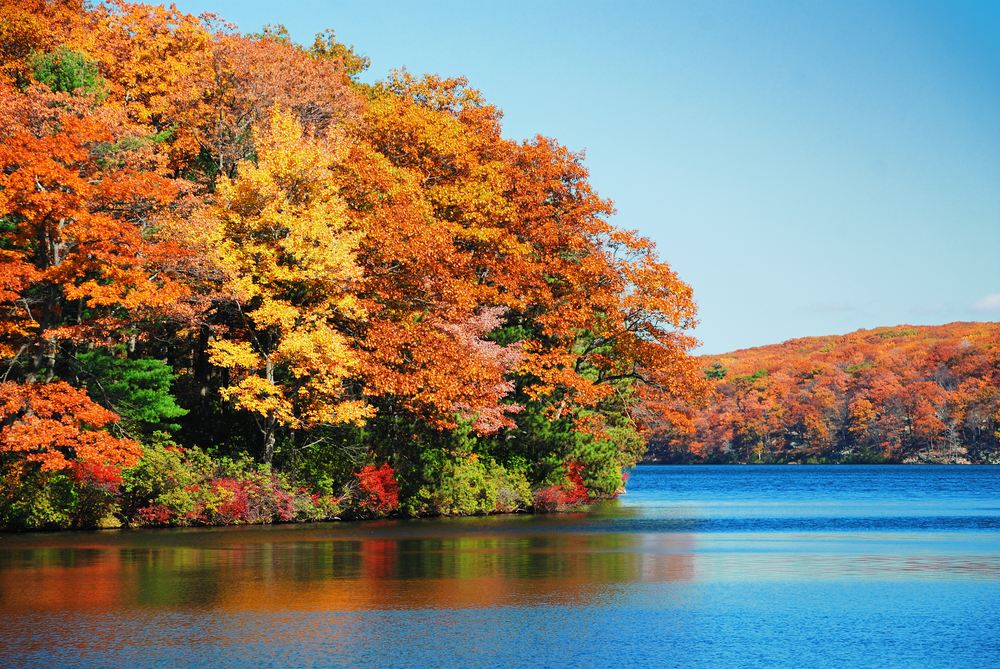 Red, orange and yellow-coloured trees next to a blue lake on a sunny autumn day.
