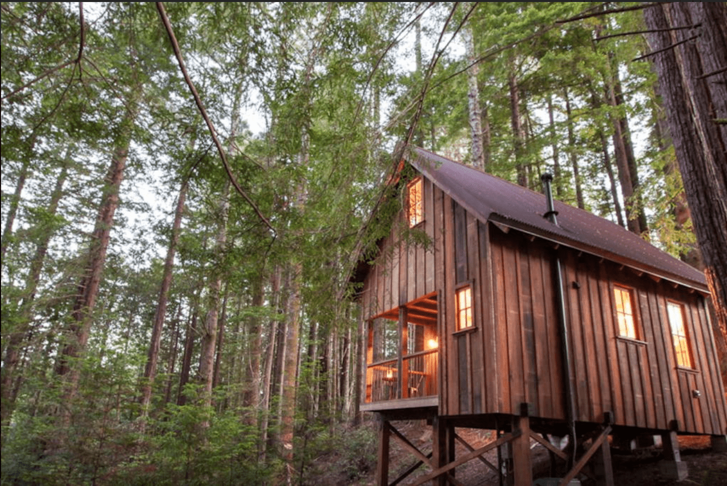 The exterior frontal view of the Owl Tree cabin.