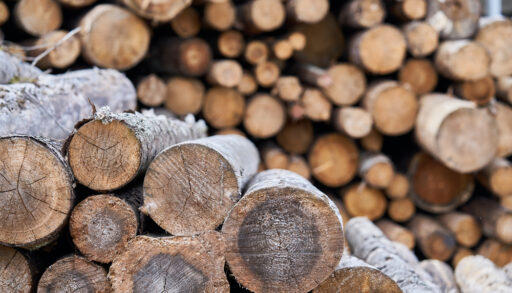 Stacks of chopped logs laying in front of each other.