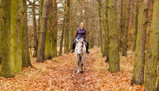 Woman horseback riding through an autumn forest.