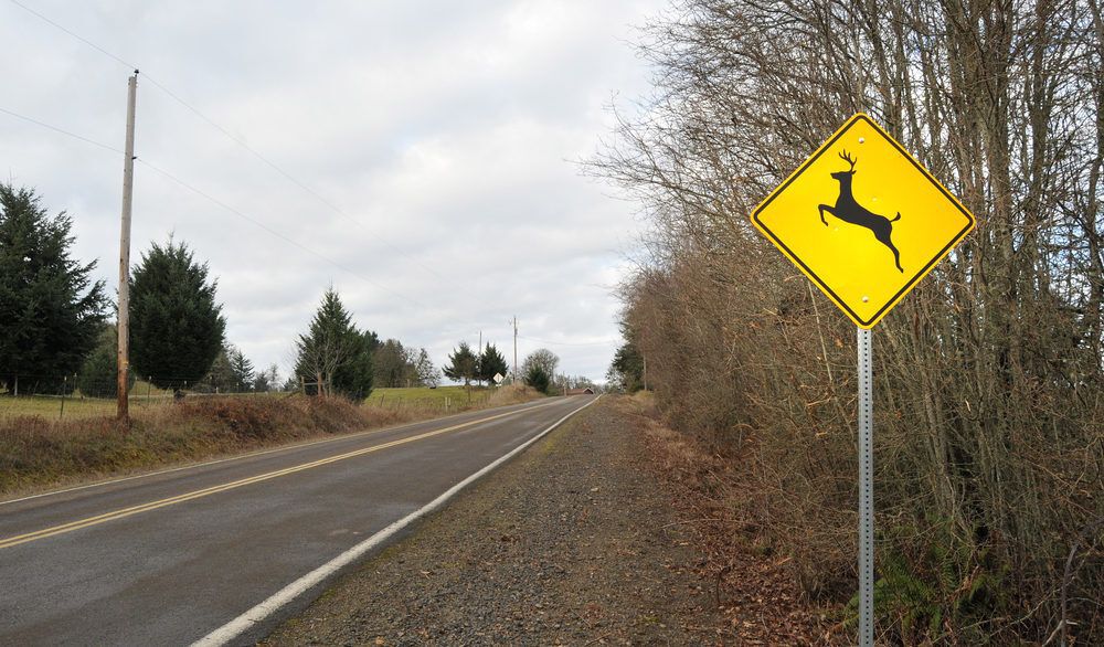 A yellow deer crossing sign next to a highway.