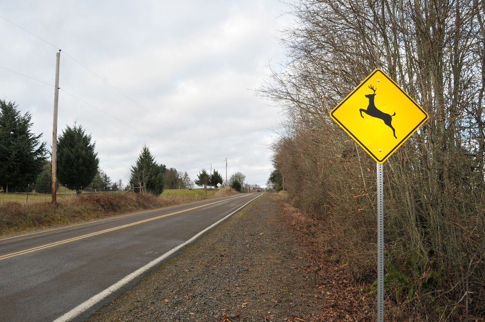 A yellow deer crossing sign next to a highway.