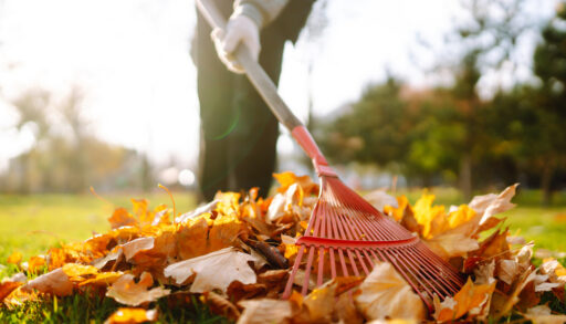 Low-angle shot of a person using a red rake to rake a pile of leaves.