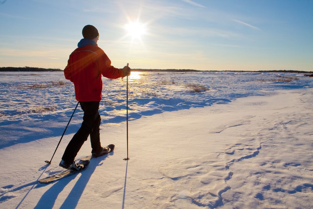 A man in a red coat cross-country skiing with the sun shining in the background.
