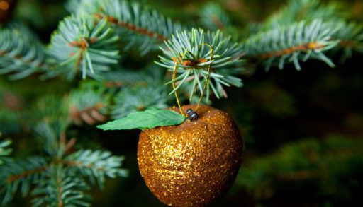 How to make your Christmas tree last