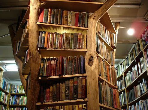 Tree bookshelf