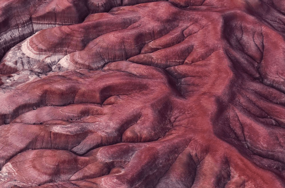 Arizona's Painted Desert