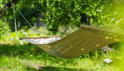 Hammock suspended between two trees in a green and grassy forest.