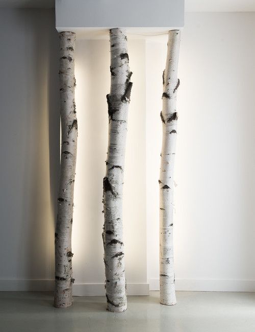 decorative birtch branches