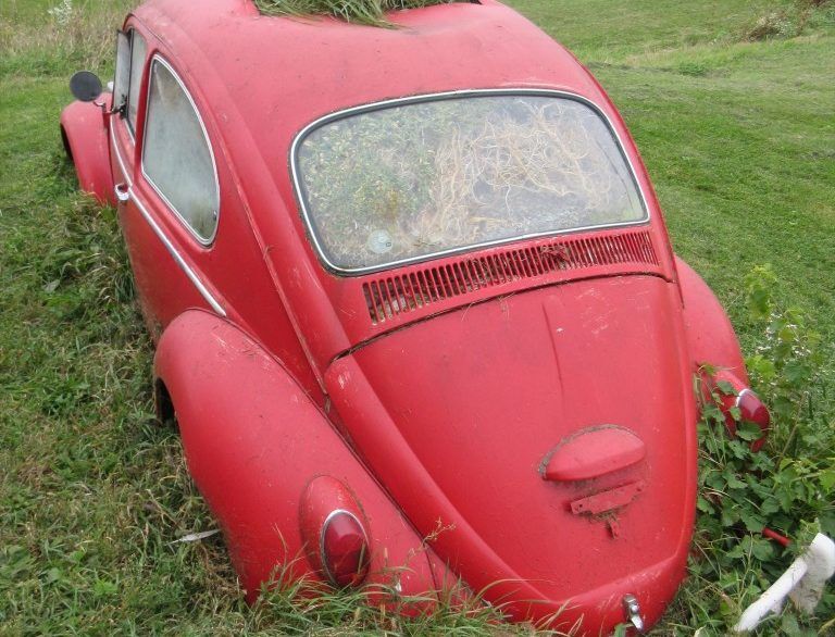 red car overgrown with grass and flowers