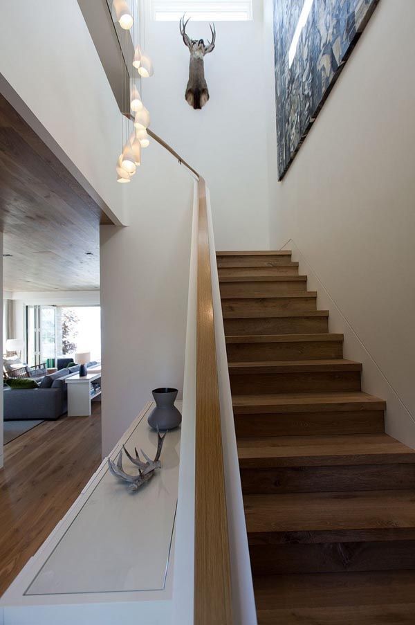 stairwell with mounted deer head