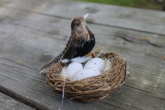 Geocache that looks like a bird in nest