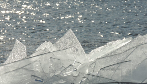 Close-up of thin sheets of ice piling up on Lake Superior.