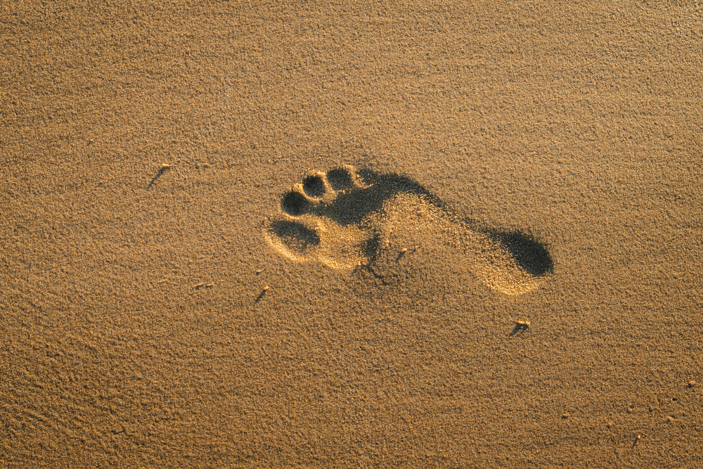 One human footprint in the sand on a beach at sunset.
