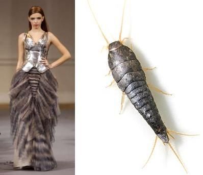 Woman in a dress next to image of a silverfish