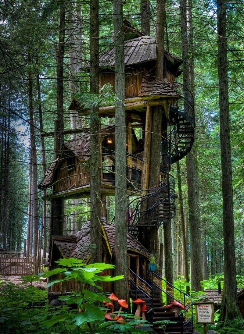 Enchanted Forest Tree House (BC)