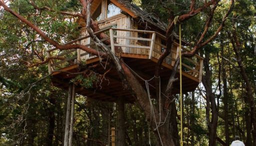 Henry Island Tree House (Washington, USA)