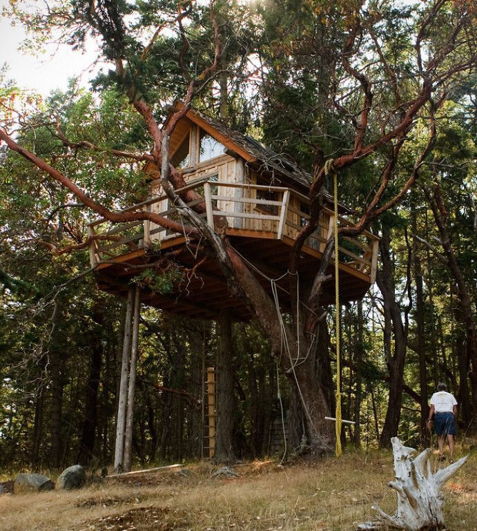 Henry Island Tree House (Washington, USA)