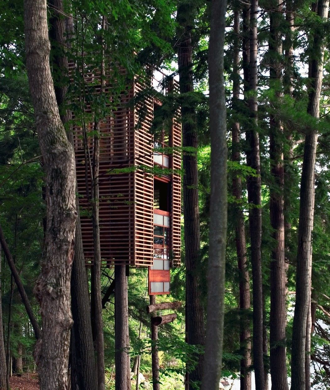 4Treehouse (Muskoka, Ontario)