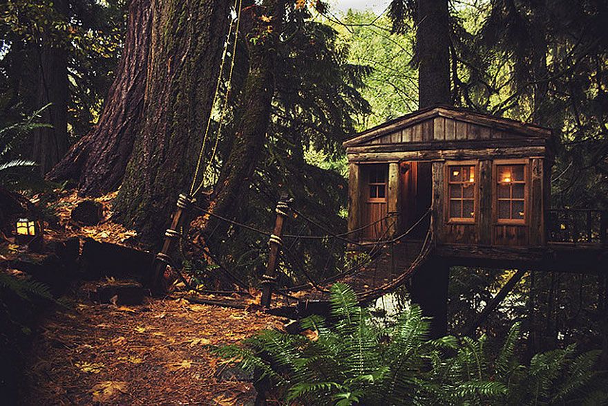 Tree House Point (Seattle)