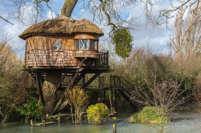 Tree House Cottage (UK)