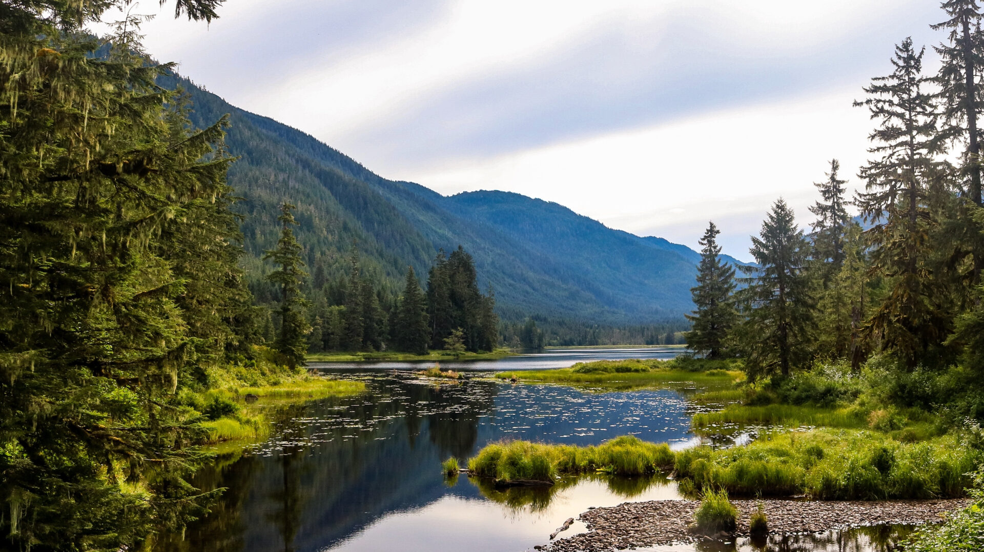 Tongass National Forest seen from the side