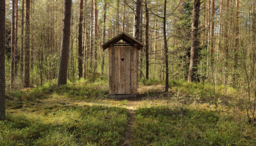 A wooden outhouse with a heart cutout on the door in the middle of a forest.